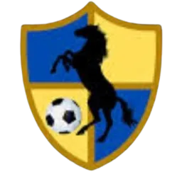 Logo of Racing United