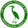 Logo of Biggleswade Town