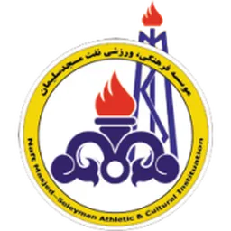 Logo of Naft Masjed Soleyman FC