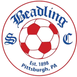Logo of Beadling SC (W)