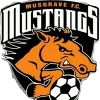 Logo of Musgrave Yellow