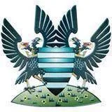 Logo of Salisbury City