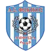 Logo of Fokikos