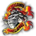 Logo of Hanelang FC
