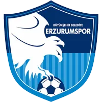 Logo of Erzurum BB