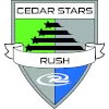Logo of Cedar star