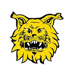 Logo of Ilves Youth