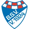 Logo of Brinkumer SV