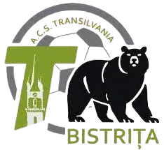 Logo of ACS Transilvania Bistrita U19