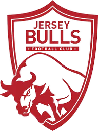 Logo of Jersey Bulls