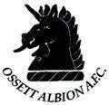 Logo of Ossett Albion A.F.C.