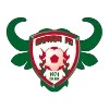 Logo of Gomido FC