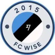 Logo of Transfer Wise