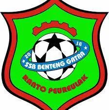 Logo of Peureulak Raya FC