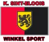Logo of VC Winkel Sport