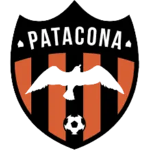 Logo of Patacona CF U19