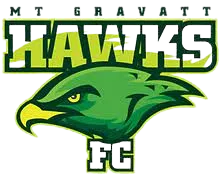 Logo of Mount Gravatt Hawks