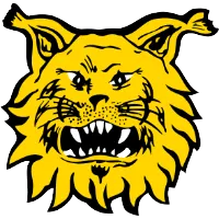 Logo of FC Ilves II (w)