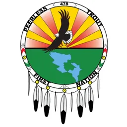 Logo of Peerless SC