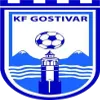 Logo of FK Rinija Gostivar