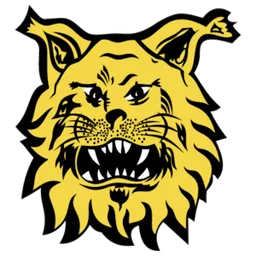 Logo of Ilves Tampere II