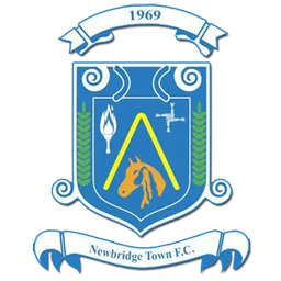 Logo of Newbridge Town