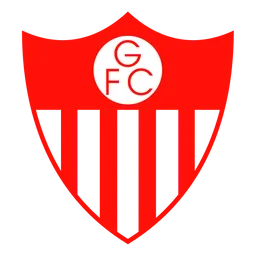 Logo of Guarany de Bage