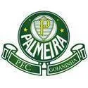 Logo of Palmeira RN