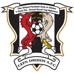 Logo of Newi Cefn Druids