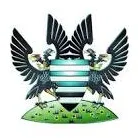 Logo of Salisbury FC