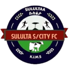 Logo of Sululta Ketema