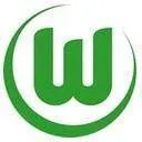 Logo of VfL Wolfsburg (Youth)