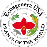 Logo of Ecuagenera