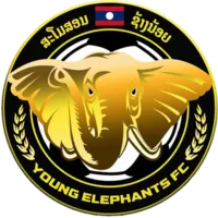 Logo of Young Elephants (w)