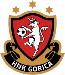 Logo of HNK Gorica