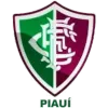 Logo of Fluminense PI (Youth)