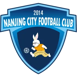 Logo of Nanjing City