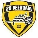 Logo of BV Veendam