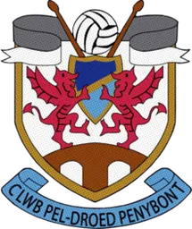 Logo of Pen-y-Bont FC