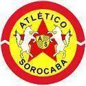 Logo of Linense(BRA)