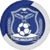Logo of Young Brazilians FC