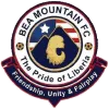 Logo of BEA Mountain FC