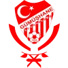 Logo of Gumushanespor