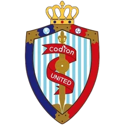 Logo of Haimen Codion