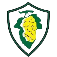 Logo of Ahtitos Spaton