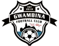 Logo of Gwambina FC