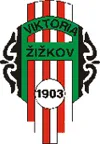 Logo of Viktoria Zizkov B