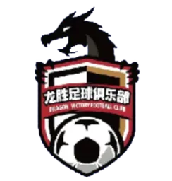 Logo of Nanjing Longsheng