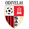 Logo of Odivelas