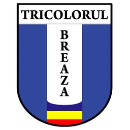 Logo of Tricolorul Breaza